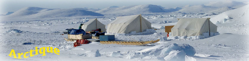 Banquise, en Arctique